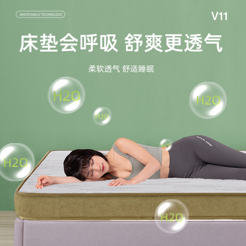 【V11纪念款】大自然可定制山棕乳胶家用主卧床垫护脊可拆卸 - 图3