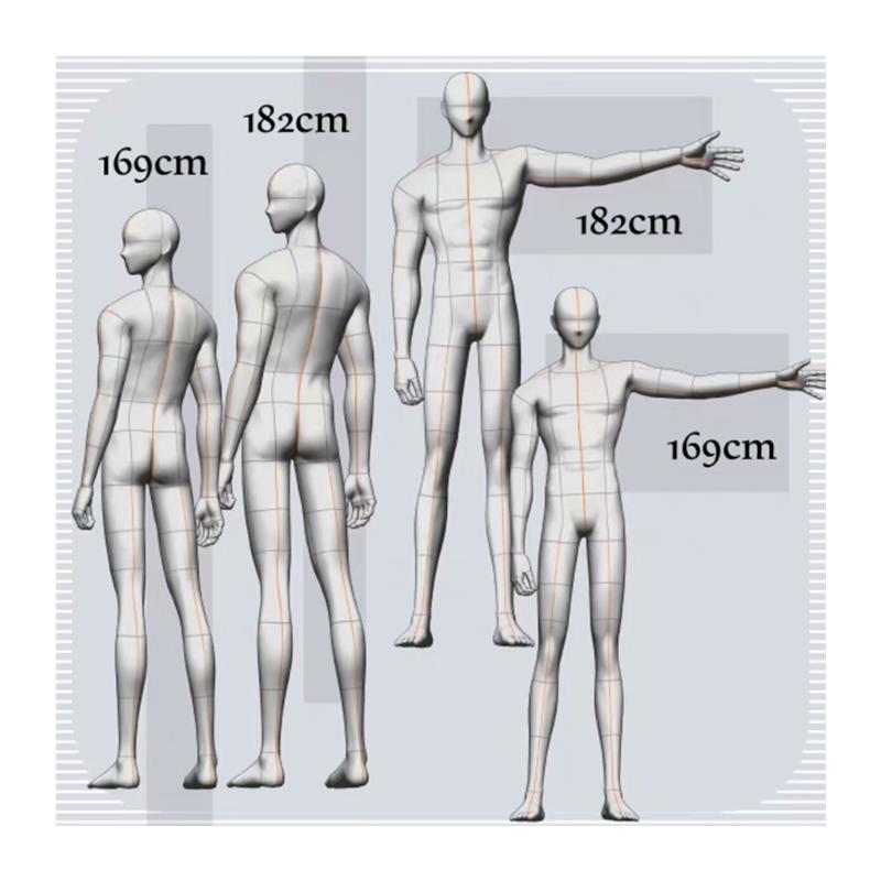 【csp模型】男性8头身模型 - 图3