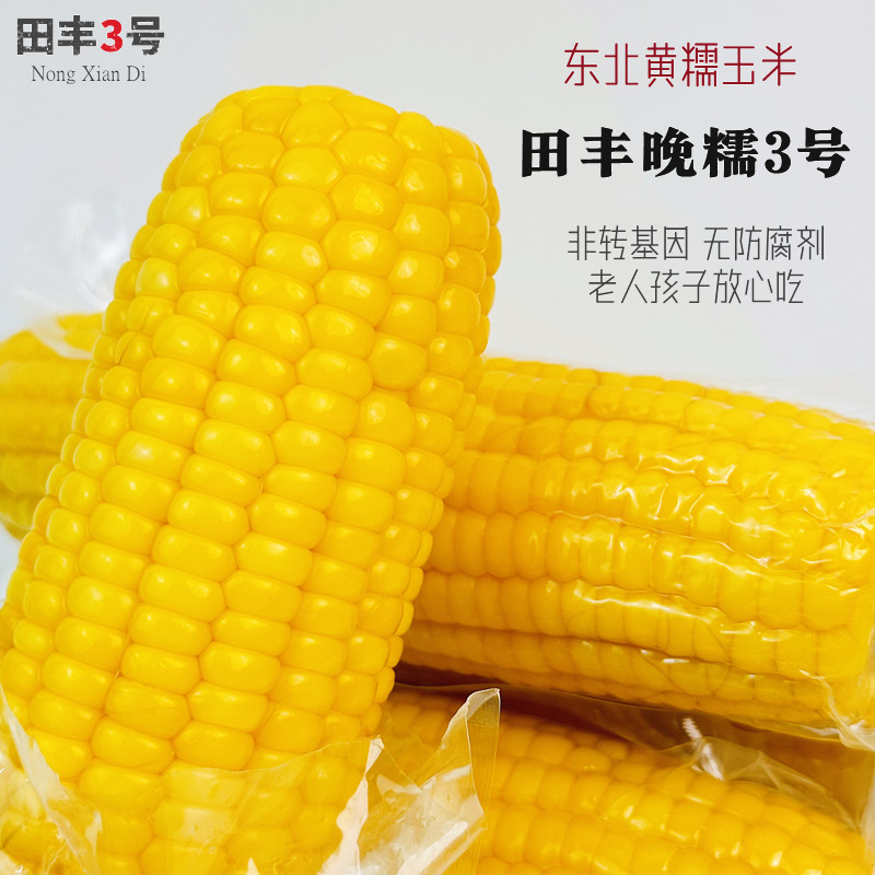 田丰3号东北黄糯玉米新鲜大棒粘黏苞米粗粮早餐健身主食真空包装,淘宝优惠券,粉丝福利购,淘宝优惠卷
