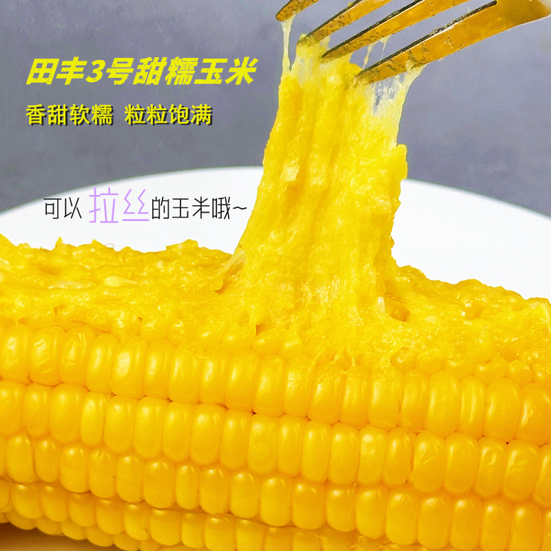 田丰3号东北黄糯玉米新鲜大棒粘黏苞米粗粮早餐健身主食真空包装,淘宝优惠券,粉丝福利购,淘宝优惠卷