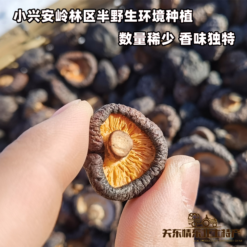 香菇干货东北椴木油面菇半野生纯正天然小黑面菇蘑菇散装冬菇500g - 图0