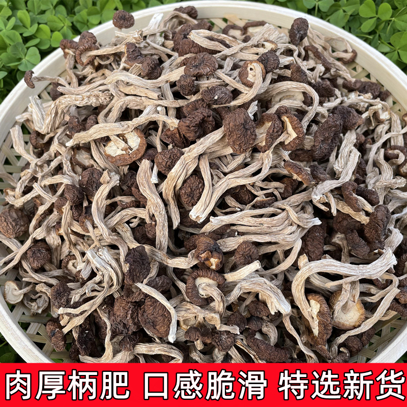 茶树菇干货特等新货不开伞修剪无根嫩茶树蘑菇香菇煲菌汤散装500g - 图2