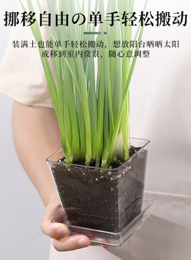 家用阳台种菜盆透气塑料花卉盆
