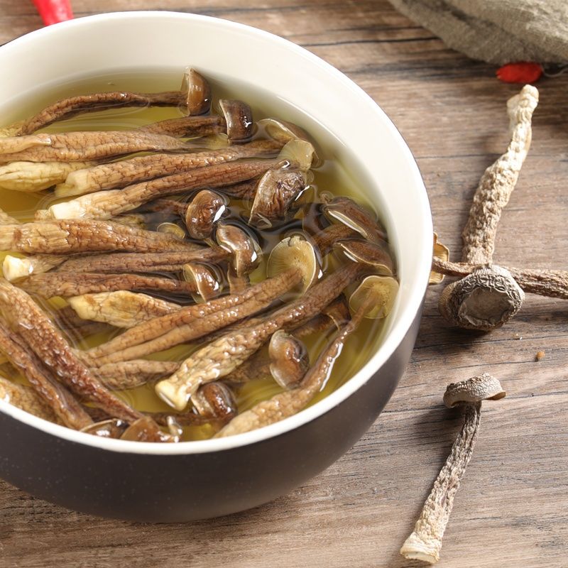 精品鹿茸菇干货500g袋装批发优质新鲜蘑菇菌煲汤菌菇官方旗舰店