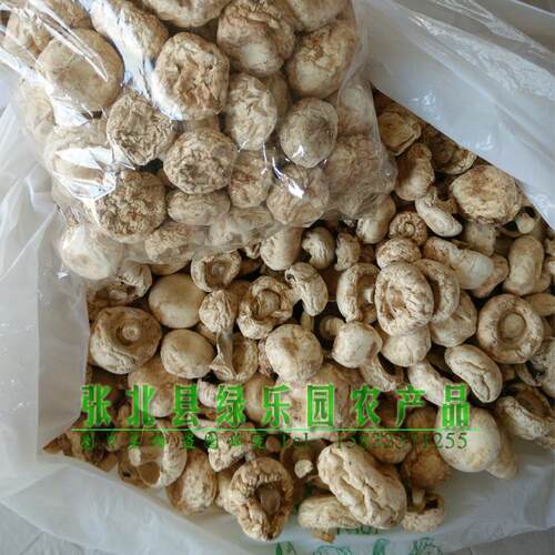 张家口口蘑 坝上张北特产 食用菌农产品干货 草原白口蘑 白蘑菇 - 图3