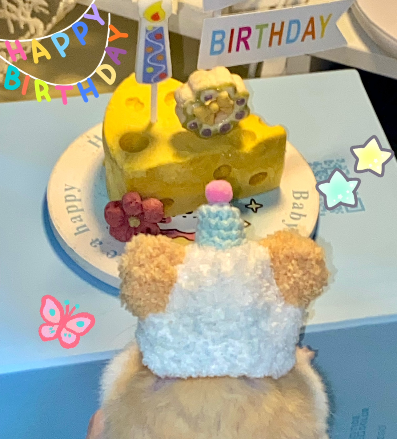 仓鼠金丝熊生日蛋糕黑波利蜜袋鼯松鼠 - 图0