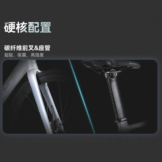 XDS road bike AD450 carbon front fork