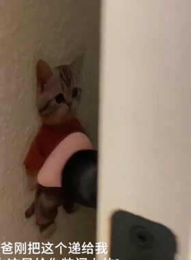 萌宠猫咪创意卡通门档硅胶门档门把手缓冲阻挡器墙面防撞保护贴饰