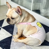 Собачья физиологические штаны, сука брюки Менструальные брюки, метод подгузников собак с борьбой с брюками Тедди тети.