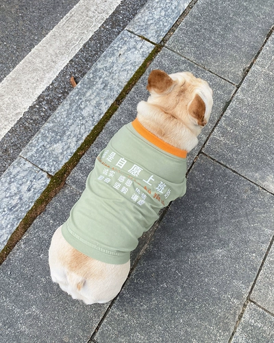 Tata Home -Create Pet Dog Summer Vest Teddy Fa Dougki Контрастная добровольная текстовая жилет