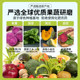 Hengxianglong Natural Fruit and Vegetable Powder Purple Potato Pumpkin Strawberry Red
