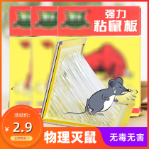 30 powerful sticky rat-plate-catching large mice with glue to catch the rat-cage the rat-trap and the end of it.