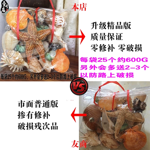 Бесплатная доставка Hainan High -End Natural Conch, Sea Star Shell Set 600G Около 25 подарков по туризму.