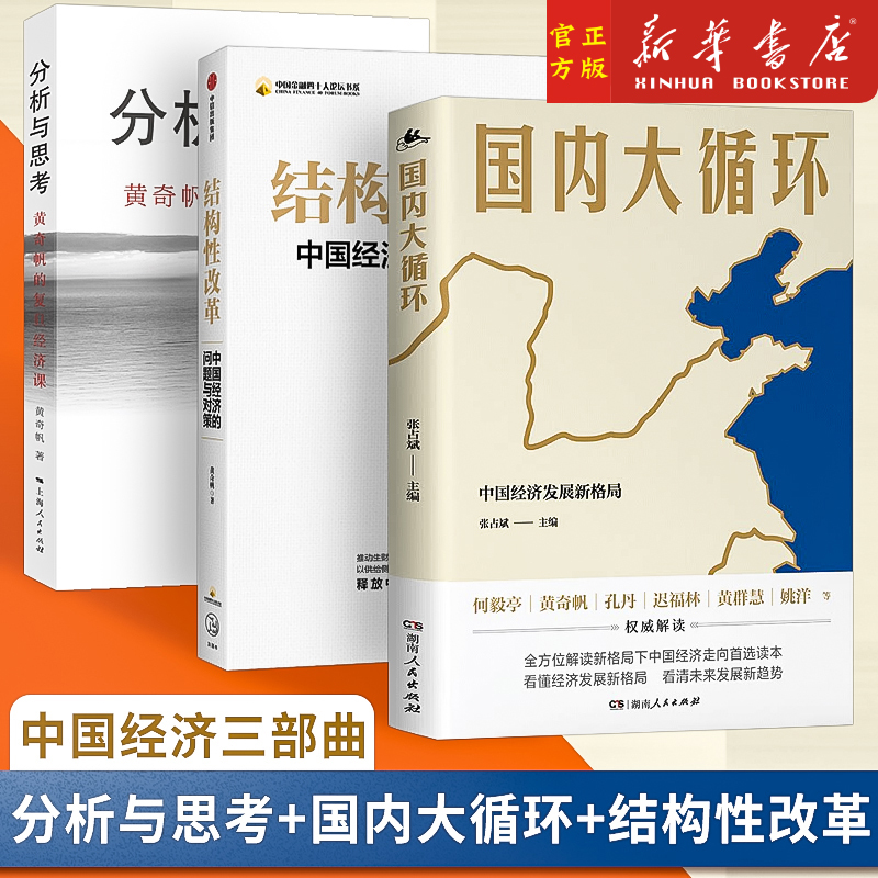 8册任选】黄奇帆的复旦经济课 分析与思考+结构性改革+战略性与路径+共同富裕+国内大循环关于中国经济的讲座合集 - 图0