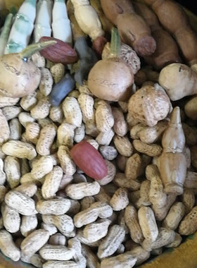 陶瓷马蹄莲红枣道具供奉神像