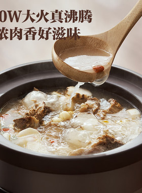 苏泊尔电炖锅家用4-5L智能紫砂锅