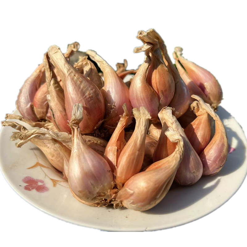 四川农家新鲜红葱头带芽盆栽干火葱黄葱种小香葱头熬油葱酥包邮 - 图3