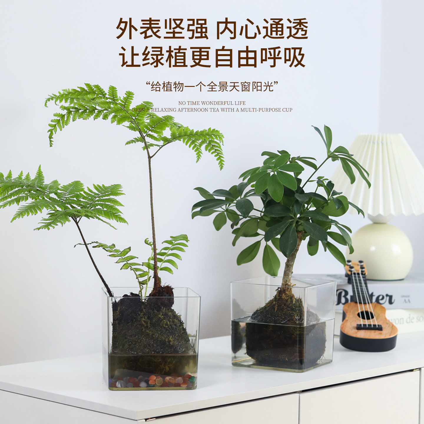 透明方形花盆水培绿植郁金香多肉花瓶方缸器皿摆件仿玻璃亚克力小,淘宝优惠券,粉丝福利购,淘宝优惠卷