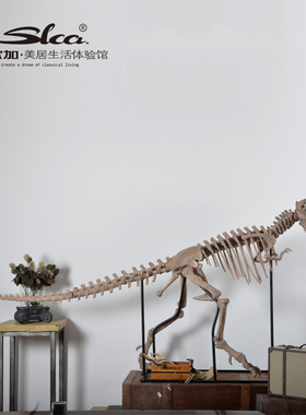 大型恐龙橱窗博物馆道具落地摆件