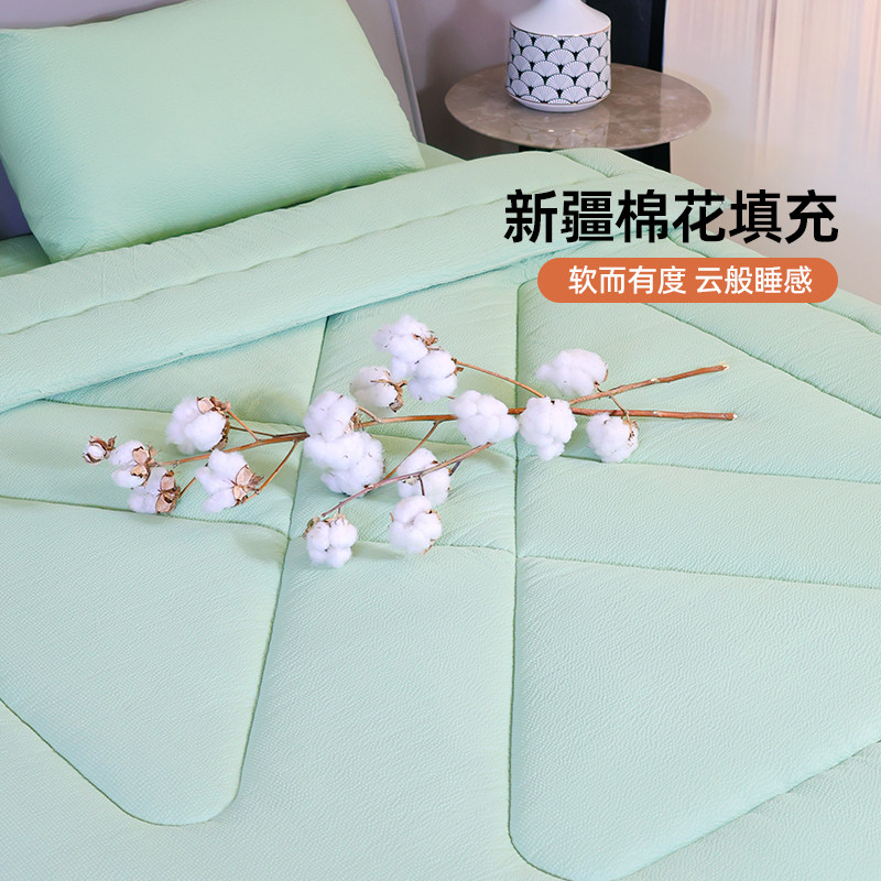 新疆包布棉花被芯棉被厚冬被被子褥子床褥春秋被单人学生宿舍床垫,淘宝优惠券,粉丝福利购,淘宝优惠卷