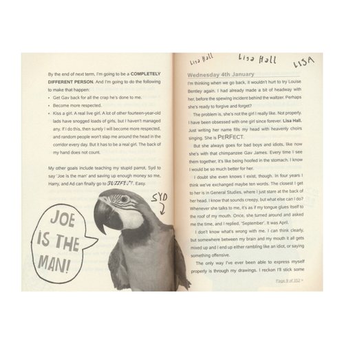 The Private Blog of Joe Cowley 乔·考利私人博客日记 章节小说 校园故事 青少年英语课外读物 英文原版进口儿童图书 - 图2