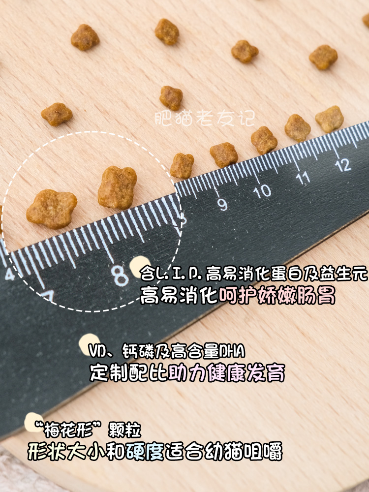 皇家BK34离乳期幼猫全价奶糕哺乳期猫粮400g健康成长0.4kg-图1