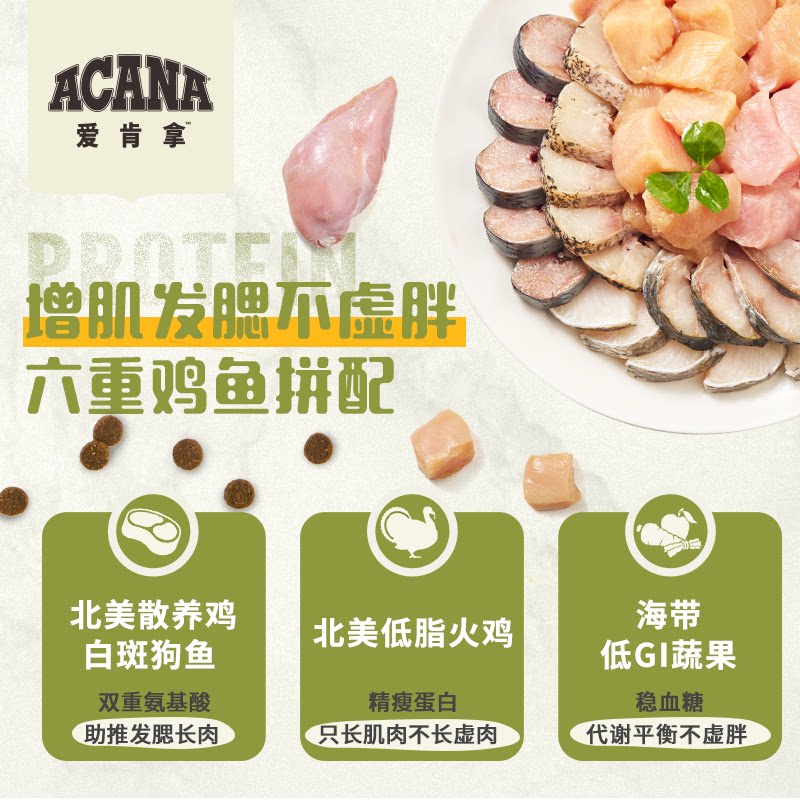 ACANA爱肯拿农场盛宴猫粮鸡肉味增肥发腮进口全价幼猫粮5.4kg