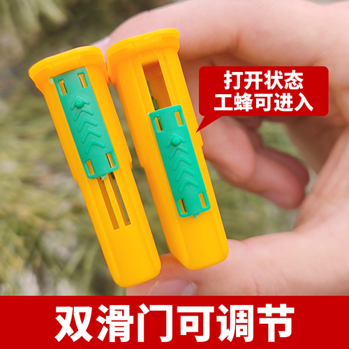 多功能囚王笼塑料防逃工具中意蜂专用介王笼装蜂王储王器隔王工具