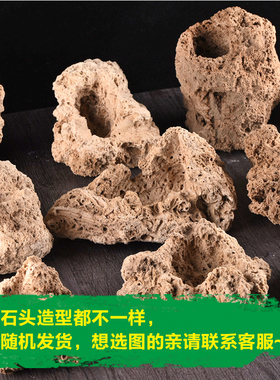 天然原石多肉盆景微景观