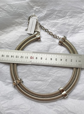 欧美外贸原单出口尾货时尚潮流气质百搭个性夸张蛇骨链女项圈项链