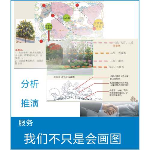 代画CAD园林绿化景观设计施工图竣工图深化扩初植物市政道路花园 - 图2