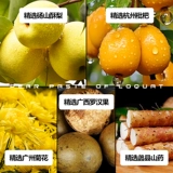 龙润堂记 Детские и детские Loquat Qiu Pear Ointment Официальный флагманский магазин Laoshan Crispy Gear Past