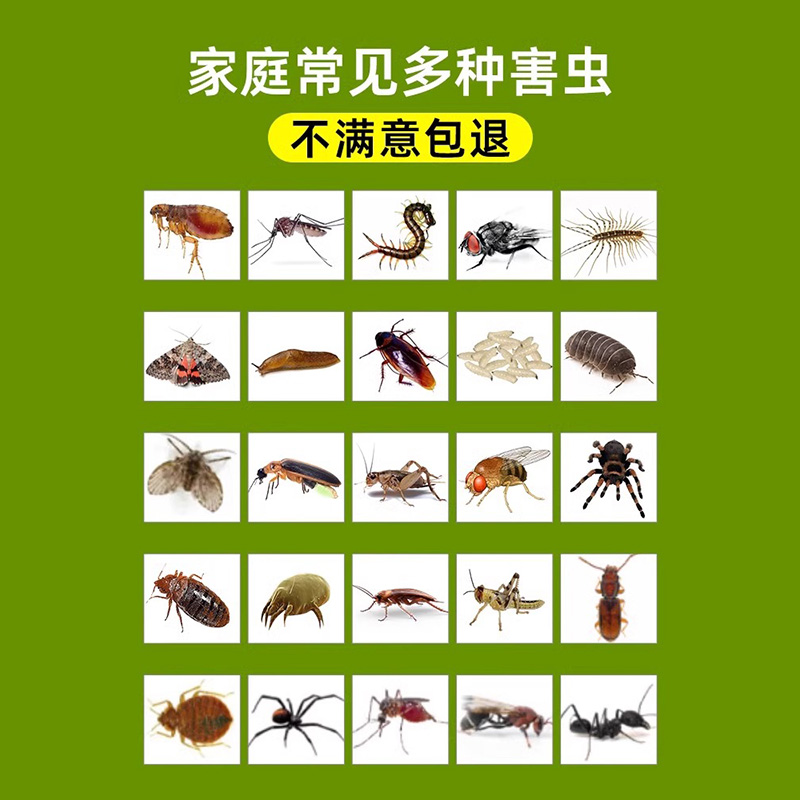 杀虫剂家用室内非无毒蟑螂药非全窝端药灭蚂蚁除虫驱虫喷雾剂神器