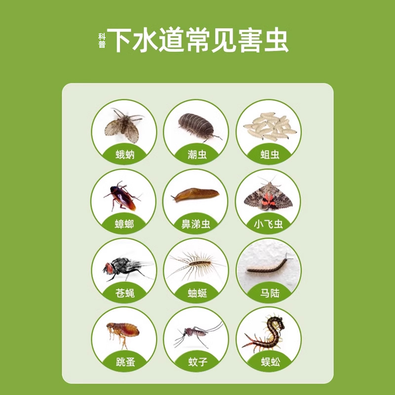 下水道小飞虫灭杀神器杀虫管道蛾蚋除虫剂蛾蠓家用厕所卫生间驱虫
