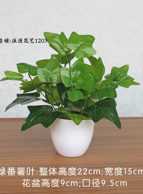 仿真植物假绿萝小盆栽室内桌面