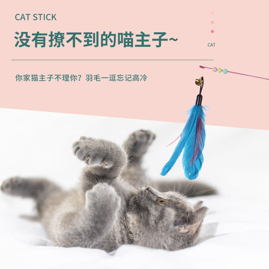 Cat stick bell feather toy wire extra long supplies
