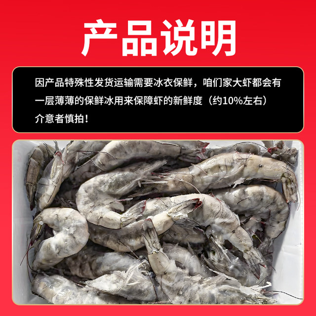 Fresh Extra Large Qingdao Jiwei Shrimp Frozen Salted