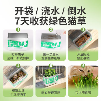 ຫຍ້າແມວ potted catnip wheat seed tray tray soilless water cultured fur grass lazy cat snacks cat supplies