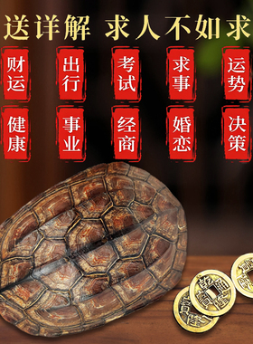 天然乌龟壳文玩六爻摇卦工具真龟甲乾隆铜钱占六十四卜打算卦摆件