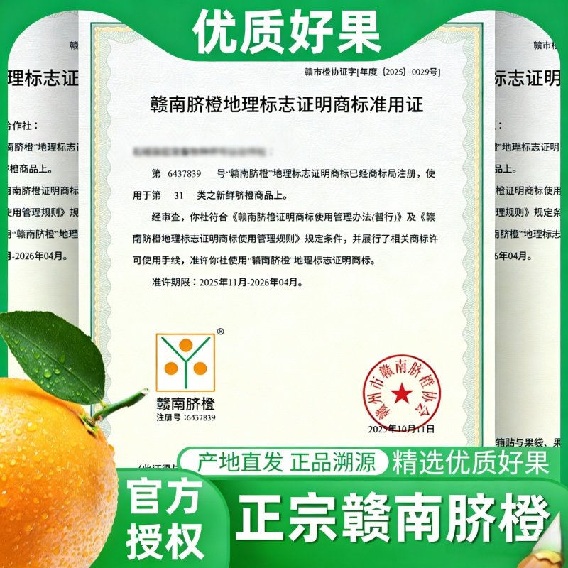 【之味珍选】正宗江西赣南脐橙彩箱产地直发精品大果新鲜水果橙子,淘宝优惠券,粉丝福利购,淘宝优惠卷