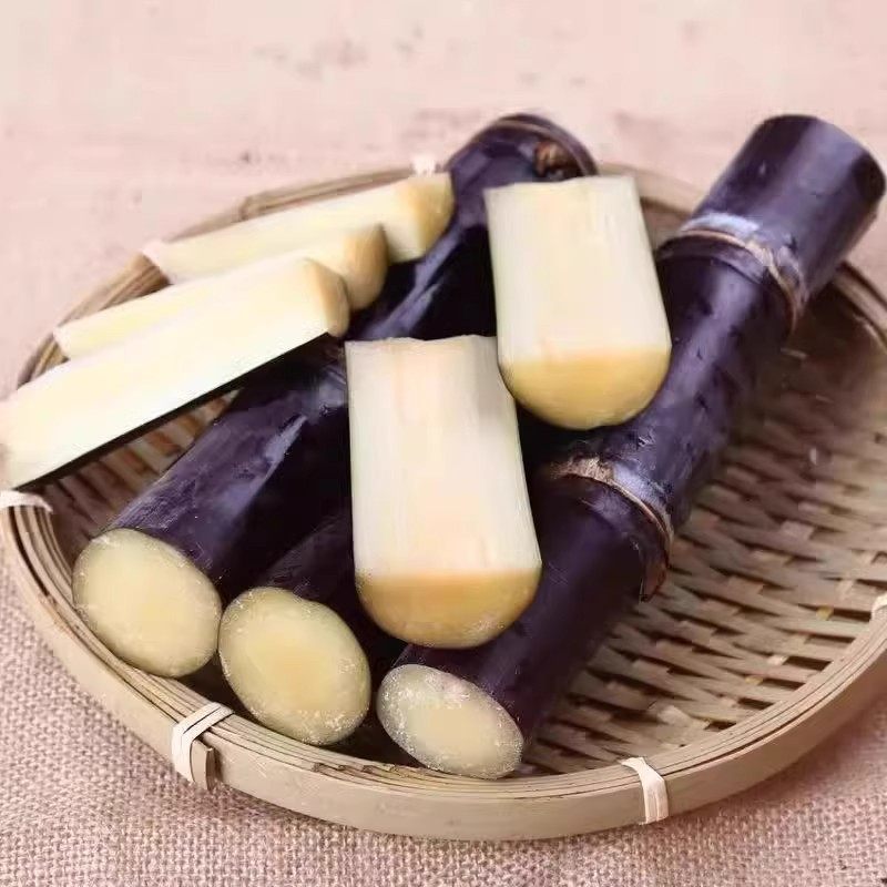 广西黑皮甘蔗新鲜现砍特产紫皮甘蔗孕妇水果脆甜榨汁应季可选,淘宝优惠券,粉丝福利购,淘宝优惠卷