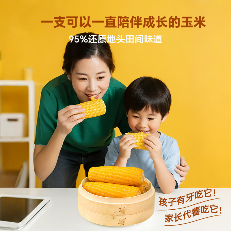 东北有机黄糯玉米新货真空黏玉米棒现摘黄糯苞米非即食早餐代餐