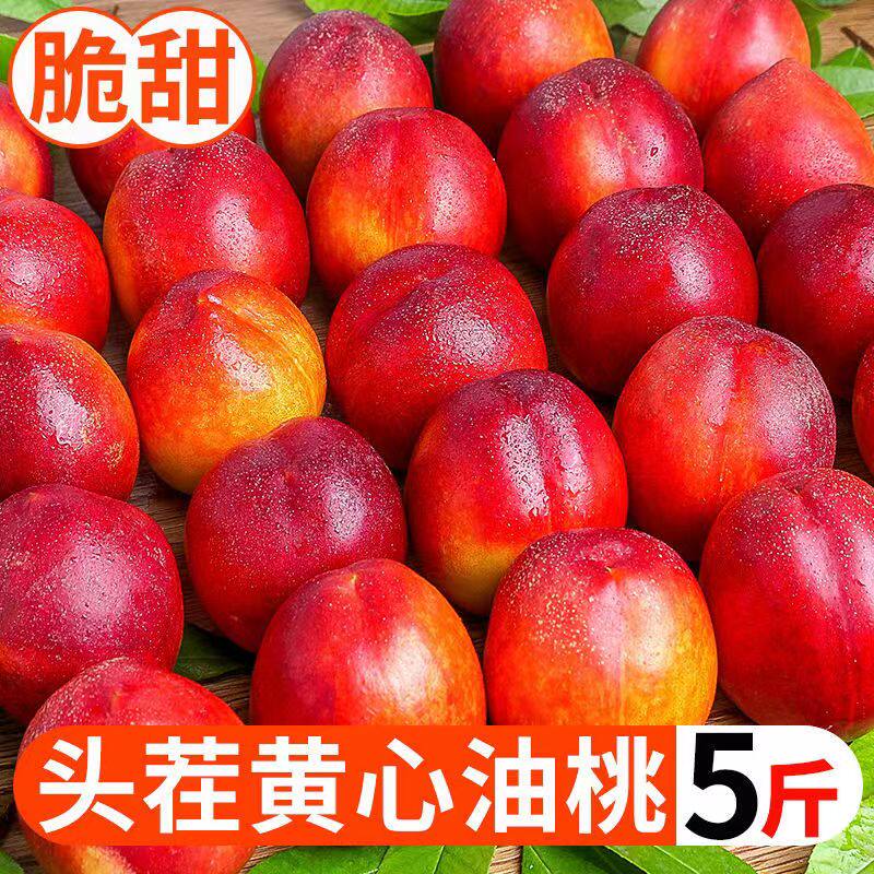 黄心油桃新鲜应季大桃子现摘水果水蜜脆桃清香脆甜多汁整箱包邮