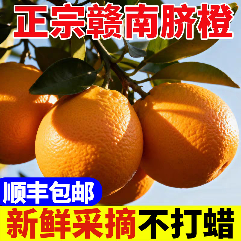 【顺丰包邮到家】江西新鲜水果橙子现摘应季孕妇水果手剥甜橙10斤,淘宝优惠券,粉丝福利购,淘宝优惠卷