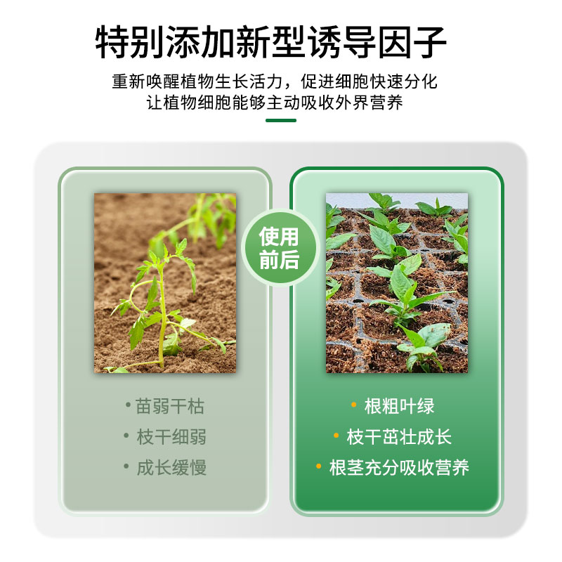 植物生根液活力素营养液养花通用嫁接多肉生根肥料室内土壤园艺