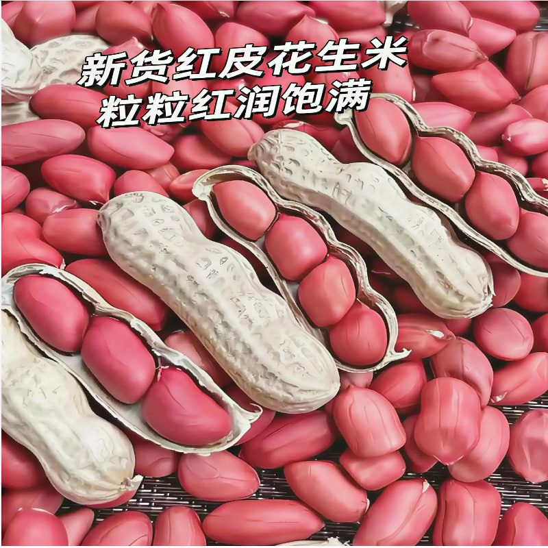 2025年带壳新货红皮花生果农家自种原味生花生米自然晒干生四粒红,淘宝优惠券,粉丝福利购,淘宝优惠卷