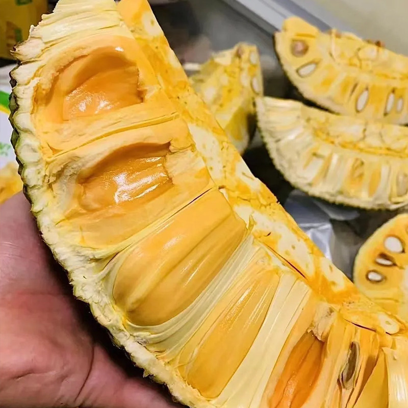 越南进口红肉菠萝蜜当季热带新鲜水果金黄橙黄果肉波罗蜜脆甜,淘宝优惠券,粉丝福利购,淘宝优惠卷