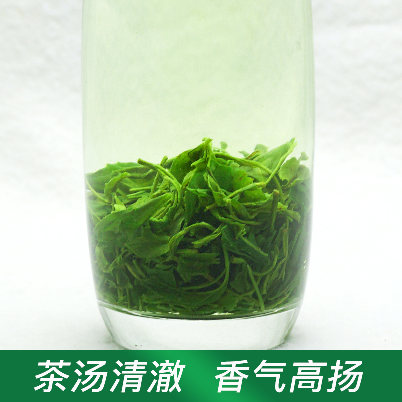 早春新茶云雾绿茶高山茶叶非毛尖茶日照袋装散装一级炒青嫩芽 - 图1