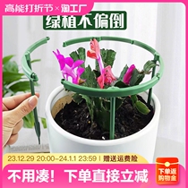 Plant Support Rod Gardening Bracket Flowers Rack Climbing bracket Indoor Balcony Outdoor green Lorraine crab claw Ranking fixed bracket