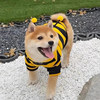Thick autumn and winter warm four-legged sweatshirt for pets